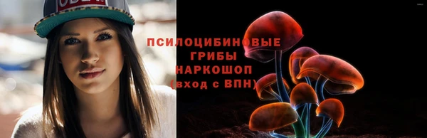 ALPHA PVP Заволжье