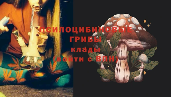 ALPHA PVP Заволжье