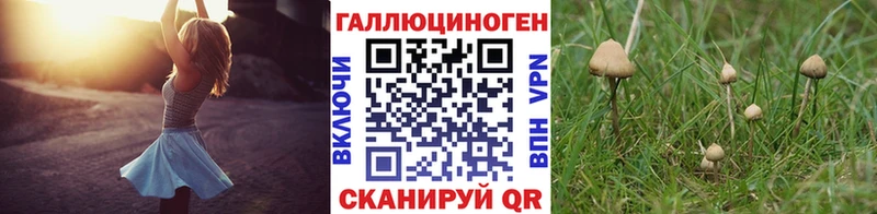 Галлюциногенные грибы ЛСД  Купить где  Духовщина 